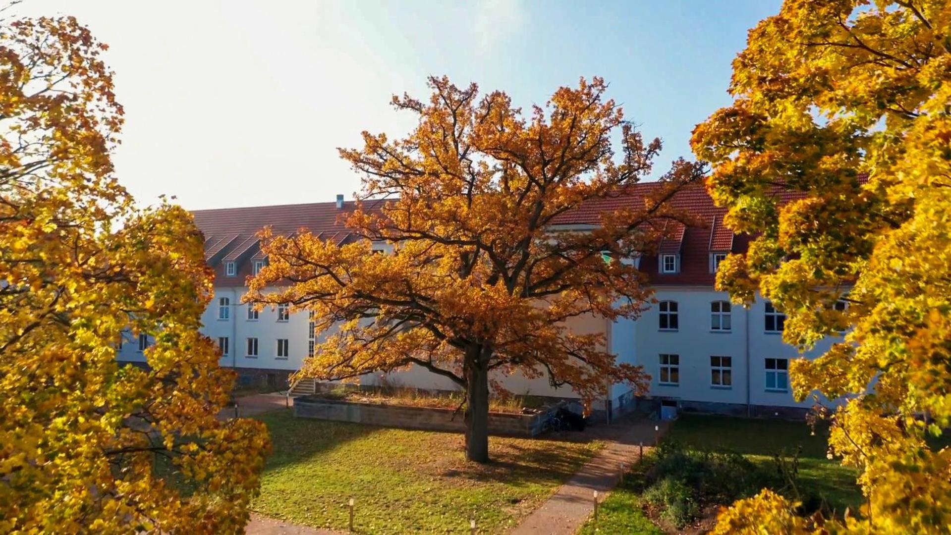 Parkresidenz Lychen, Ferienwohnung 8 Экстерьер фото